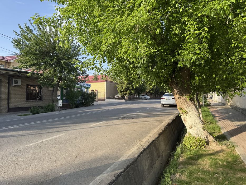 Sibirki kuchasidan xovli sotilyapti