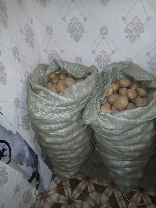 Домашняя Картошка