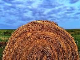 Продавам рулонни бали от просо