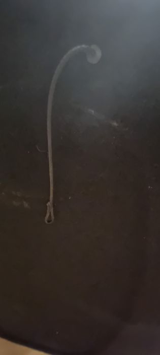 Polița sub geam din portbagajul BMW X2 sDrive18, 2020