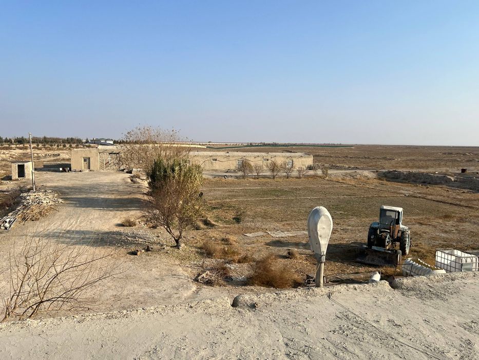 Уй сотиладииииии