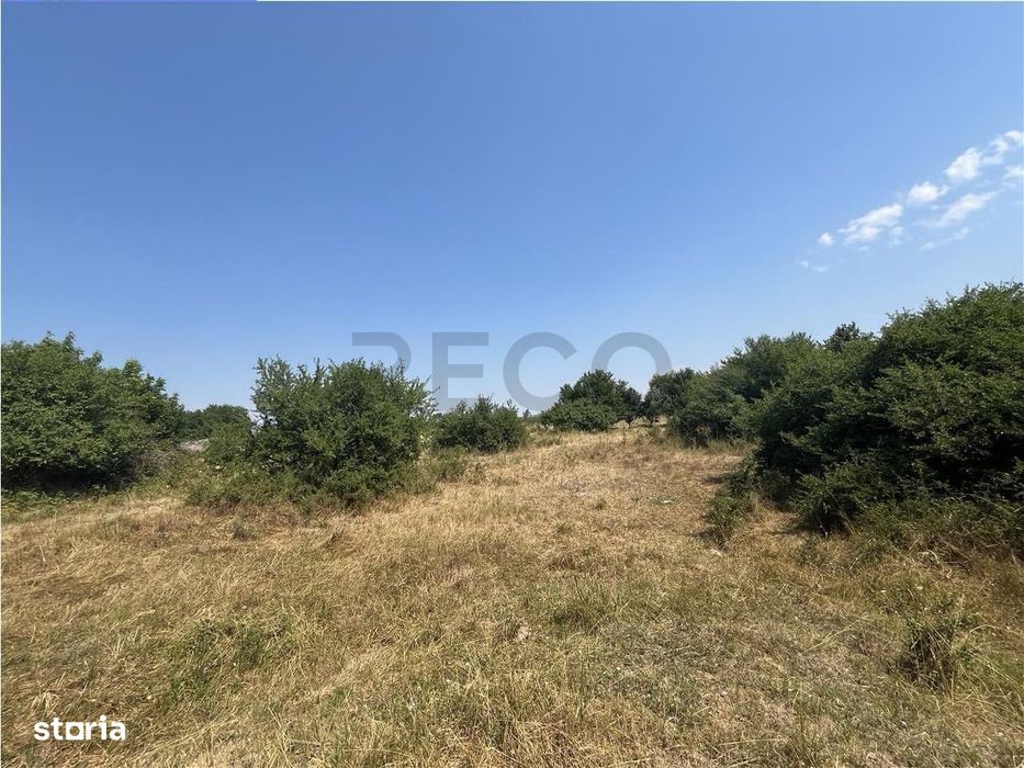 RECO Teren intravilan Tileagd 2337 mp