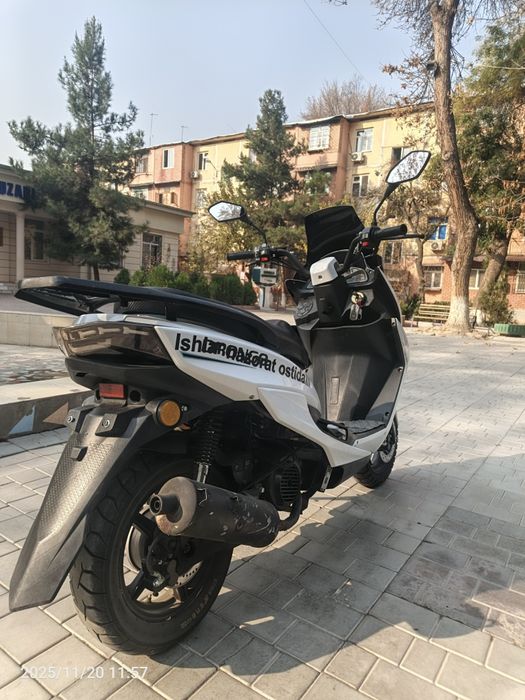 Tiger srochna sotiladi