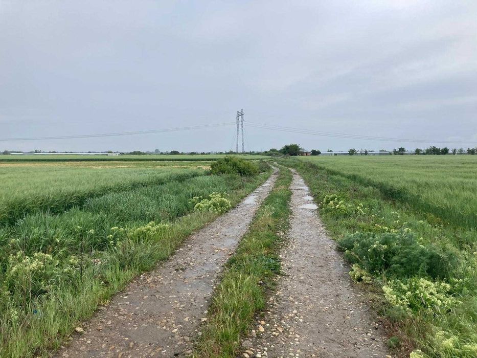 Vand teren intravilan in Sabareni, jud Giurgiu