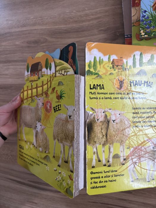 Carti cu sunete / carti copii sunete animale