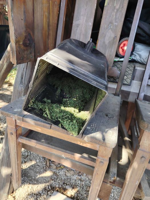 Cositoare gazon cu colector iarba