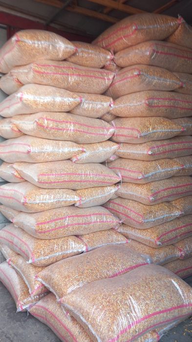 Vindem cereale din campania 2025