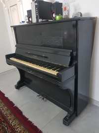 Forte  piano  ukraina