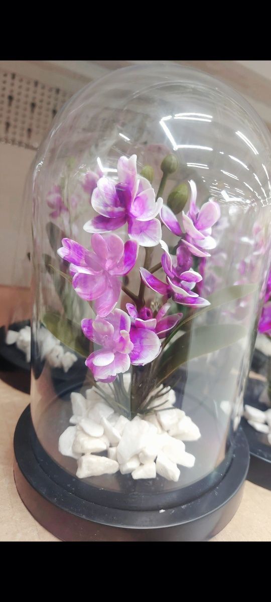 Orchidee artificiale în cupola de sticla