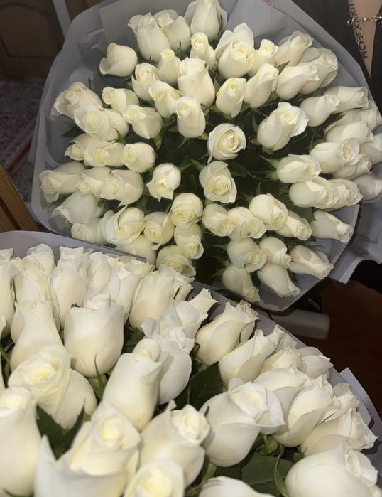 Белые розы срочно