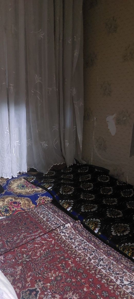 Faqat  xotin qizlar uchun birga turishga kvartira