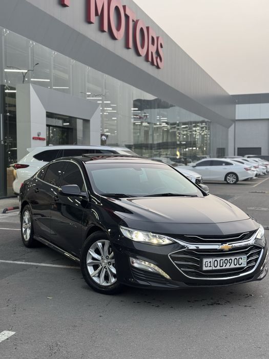 Malibu 2 Primer Arenda Xolati zor