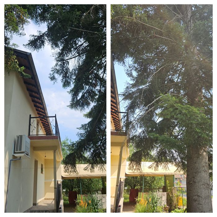 Кастрене на клони,дървета,храсти и т.н