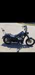 Vand Harley Davidson Dyna Streetbob