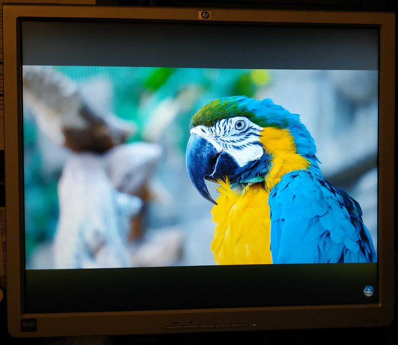 Monitor HP 19" cu picior reglabil si porturi DVI, VGA si 2x USB