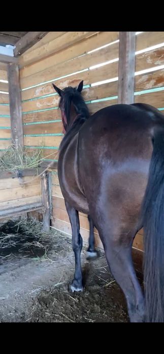 Vând sau schimb unde e cazul ofer diferență !