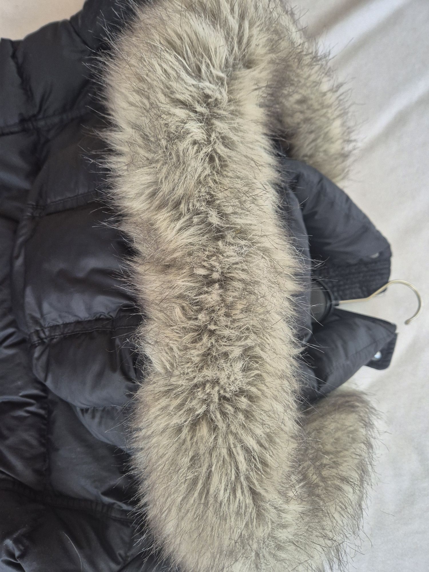 Tommy Hilfiger xxl