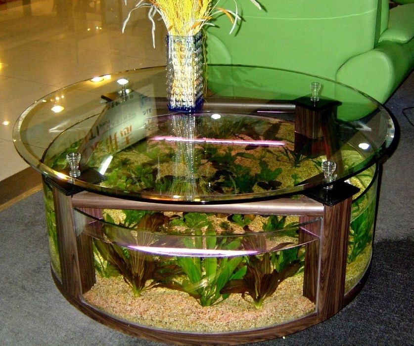 Изготовление эксклюзивных аквариумов,а также их обслуживание.