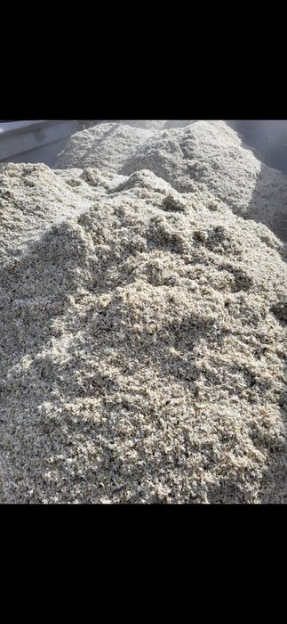 Borhot din sfeclă de zahar