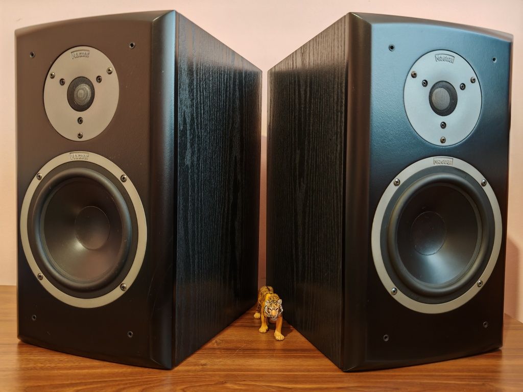 Magnat Vector 22. Super boxe de raft. Model,,greu"audiofil. Preț fix !