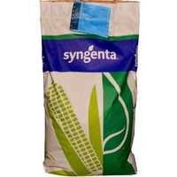 Samanta porumb Syngenta SY Scorpius 50MB