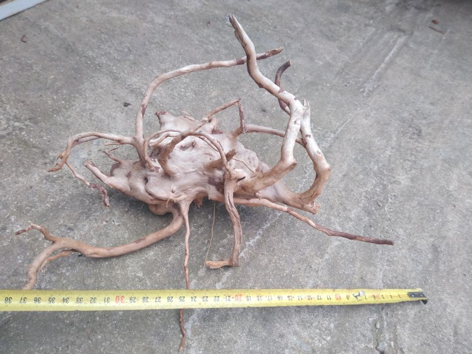 Lemne red moor acvariu(decor)