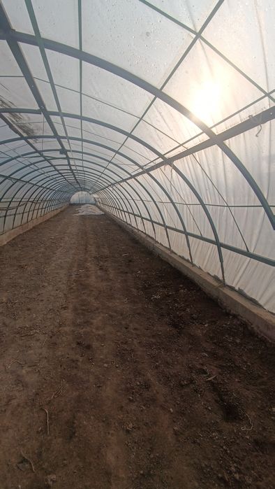 2sotix issiqxona tayyor olib oʻrnatasiz hamma jihozlari bor