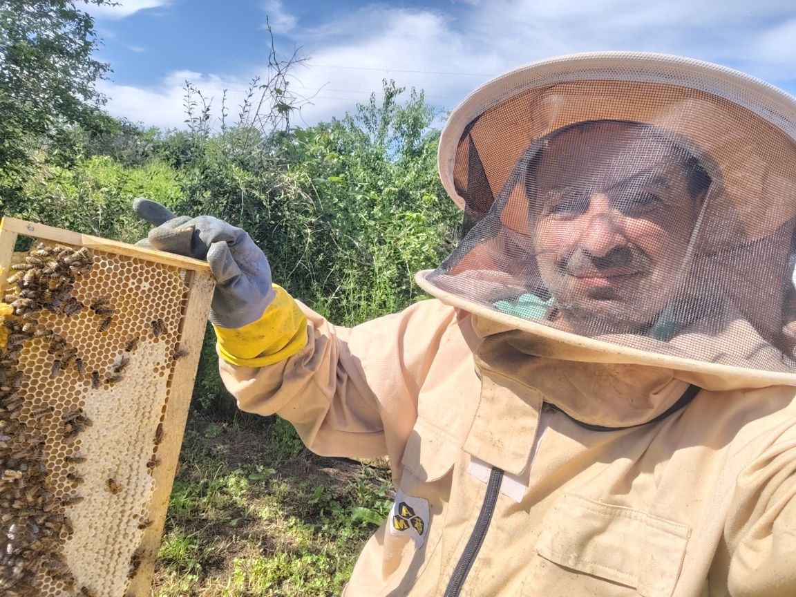 Акациев пчелен мед