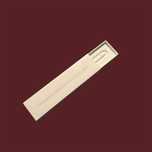 Apple Pencil 2nd Generation