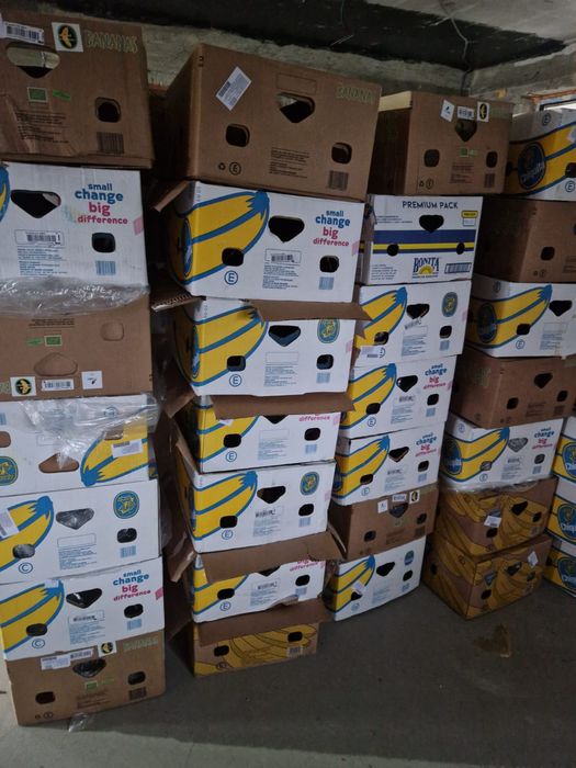 Vand Baxuri de banane noi