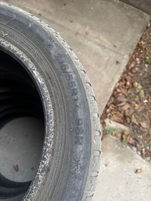 Шины зимние Triangle