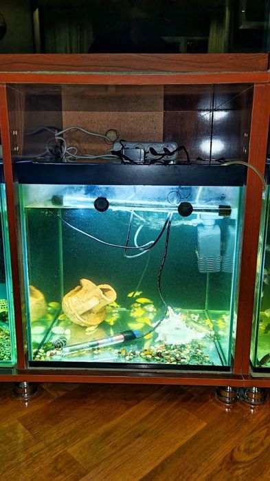 Продаются 4 аквариума. Размер 50*45*45.Можно в комплекте. Цена за 1 ак