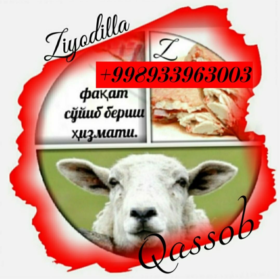 Qassob Қассоб сўйиб бериш хизмати.