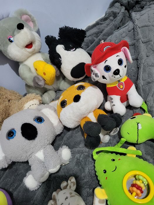 Plusuri în stare perfecta !