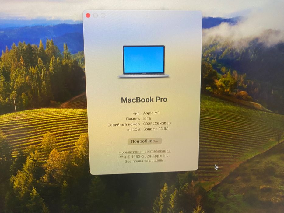 Macbook pro m1 8/256