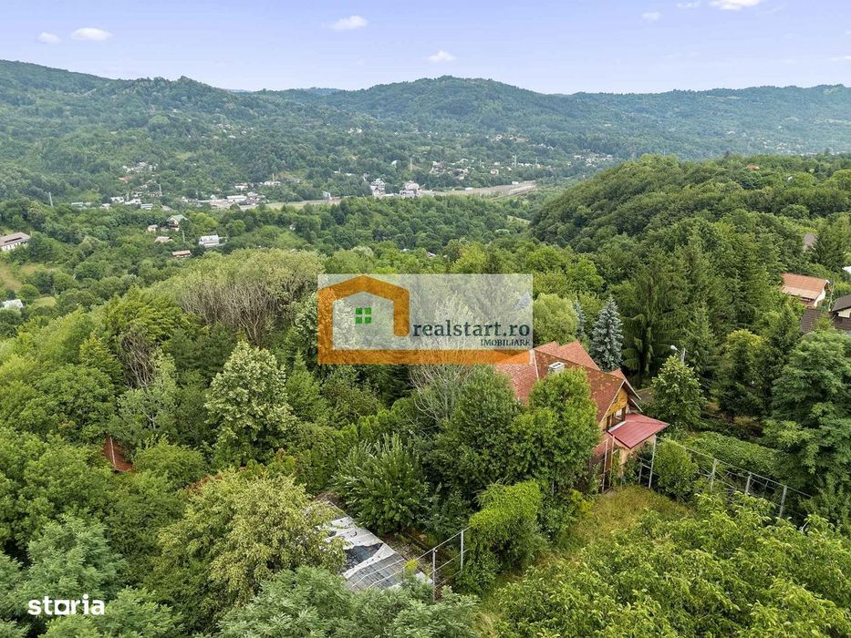 Vedere directa la Padure, 5000mp teren, Vila D+P+1E+M, semineu, foisor