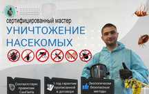 Dezinfeksiya Дезинфекция хизмати klop tarakan chivin pashsha
