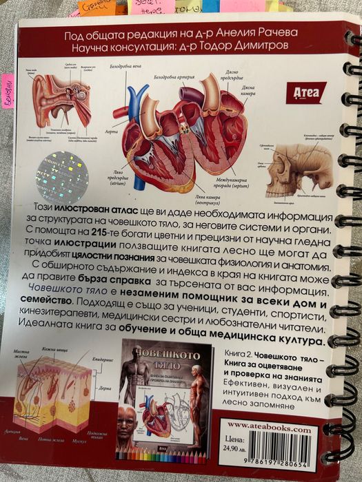 Илюстриран атлас Човешкото тяло