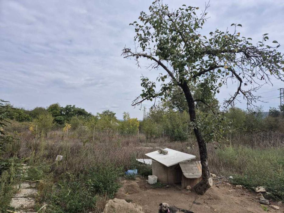 Парцел в регулация за продажба, с. Осеново, област Варна