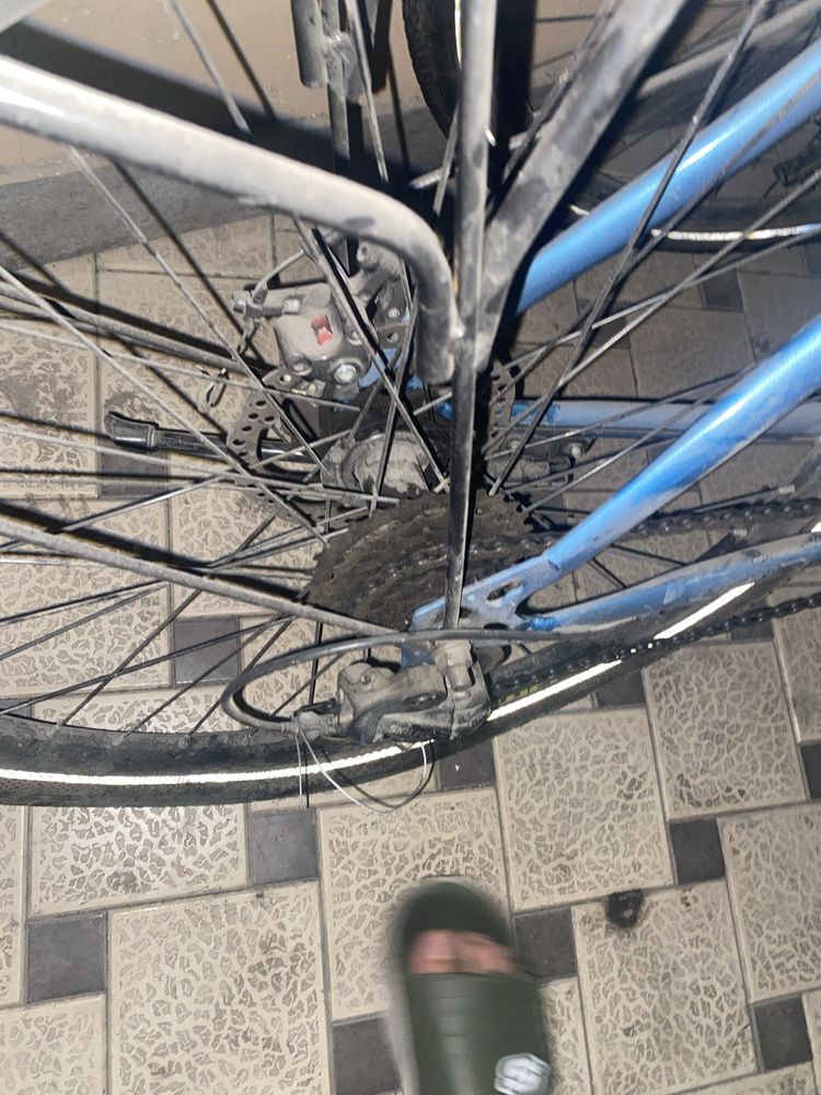 Velosiped srochno