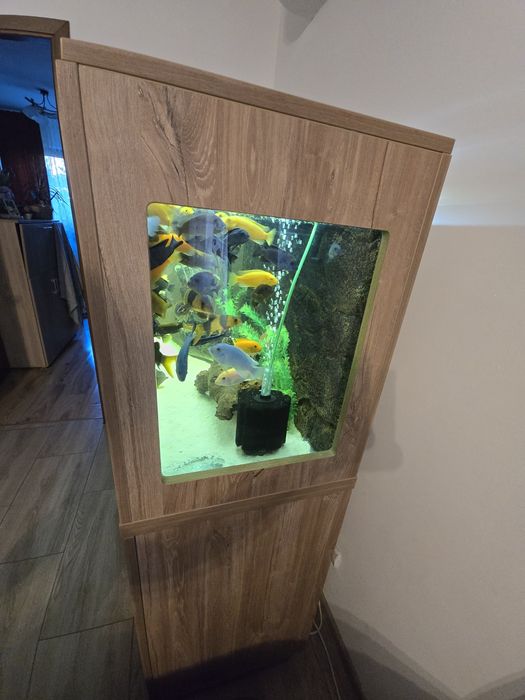 Acvariu pesti 300 litri