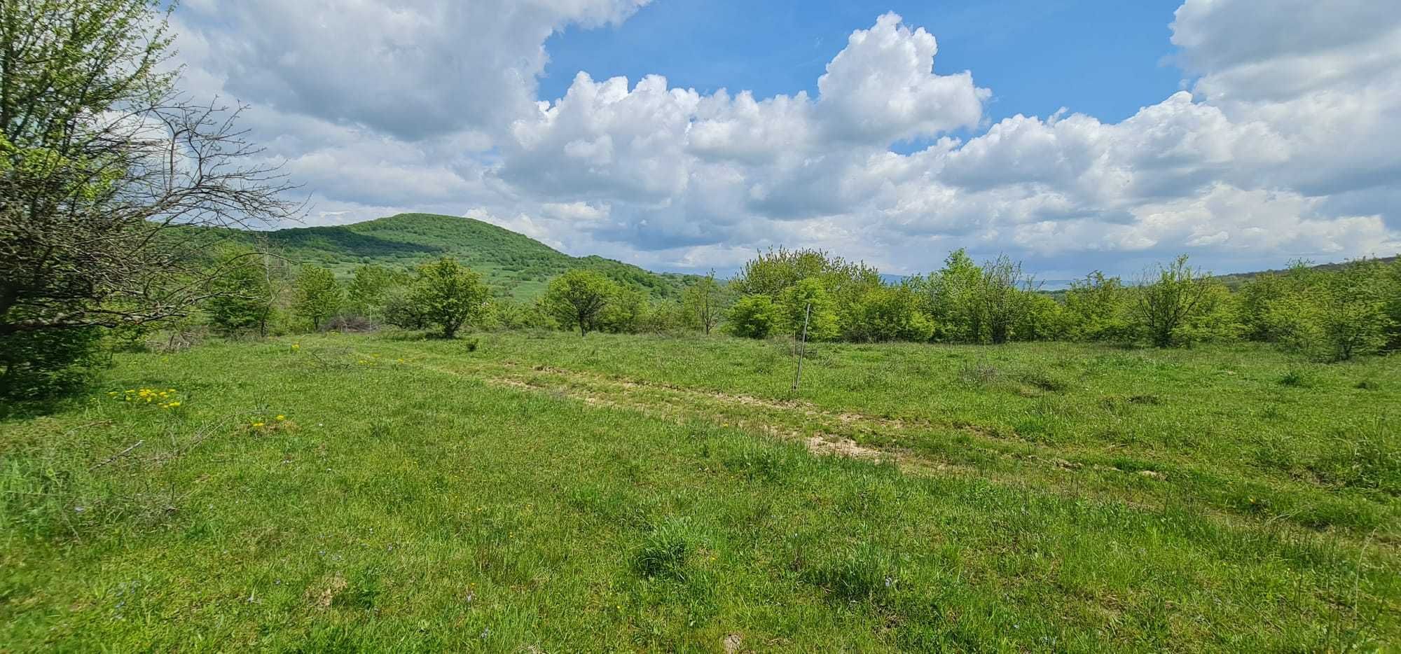 Teren 15 ari cu verdeata si panorama superba Str Paltinului Bistrita