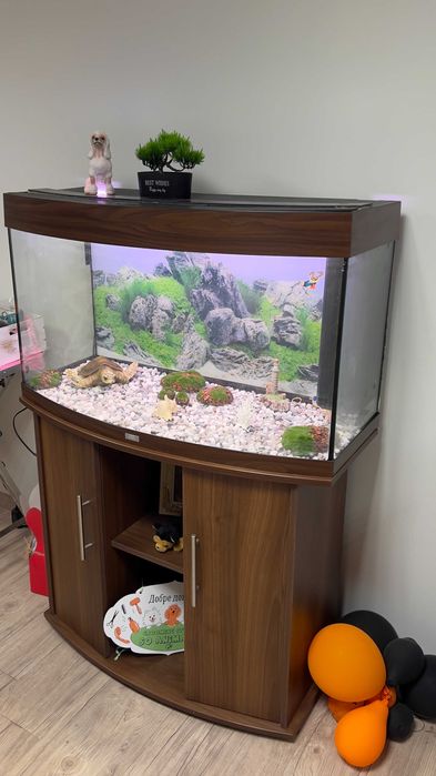 АКВАРИУМ JUWEL 180L + Шкаф, ФИЛТЪР SICCE, осветление и декорации