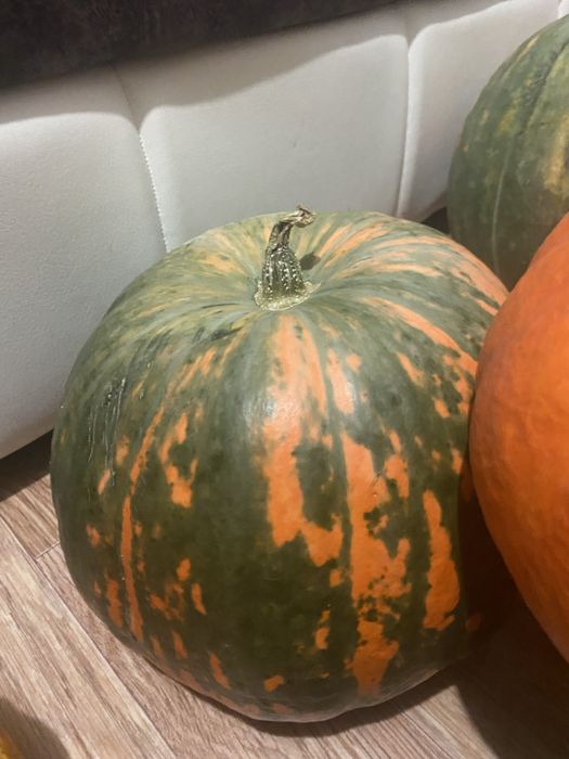 Продам тыквы домашние