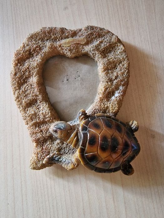 Rama foto cu broscuta