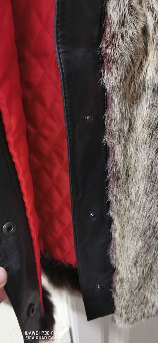 Vesta Dama Massimo Rebecchi