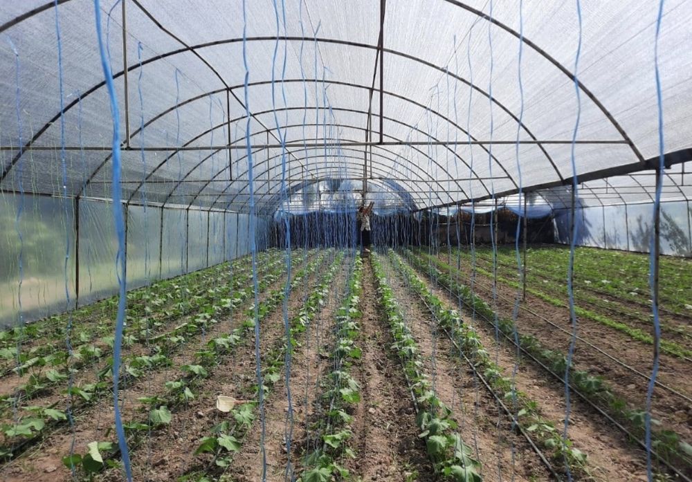 "Ишга" таклиф киламиз.