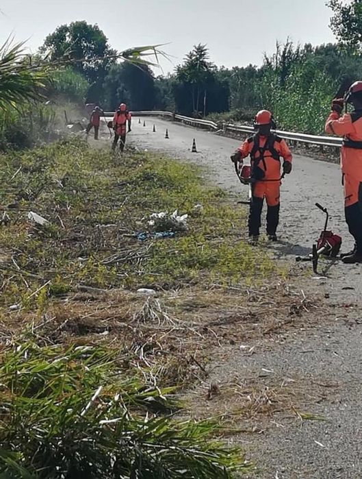 Curatare terenuri lasate in paragina