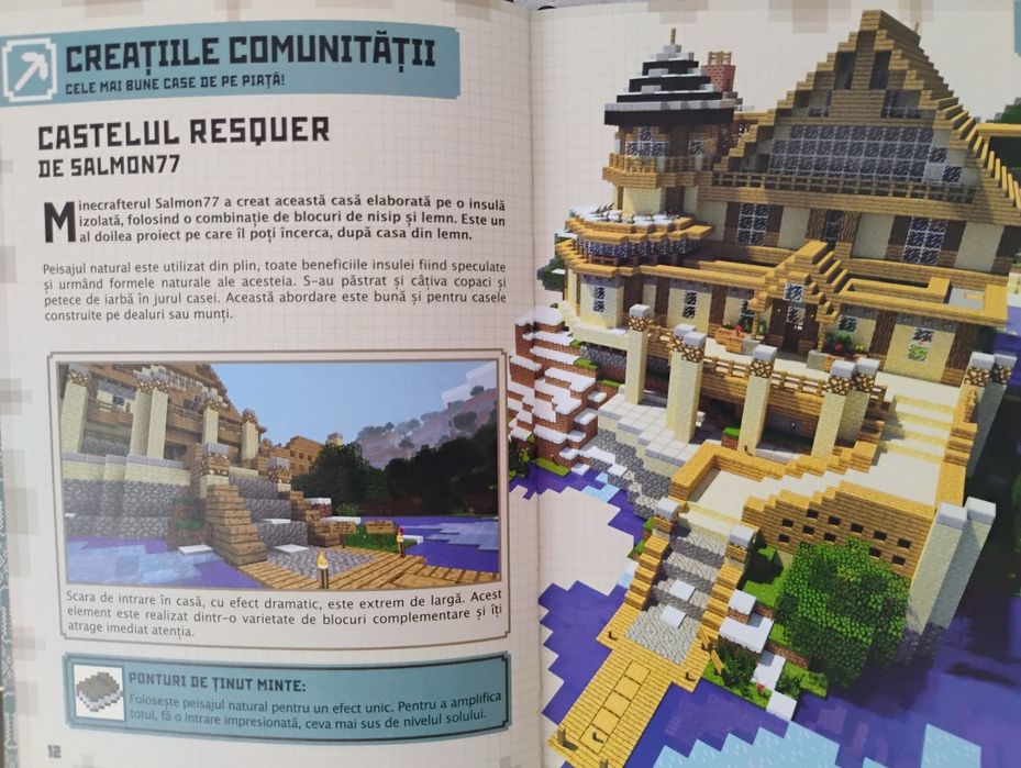 Carte pentru joc Minecraft