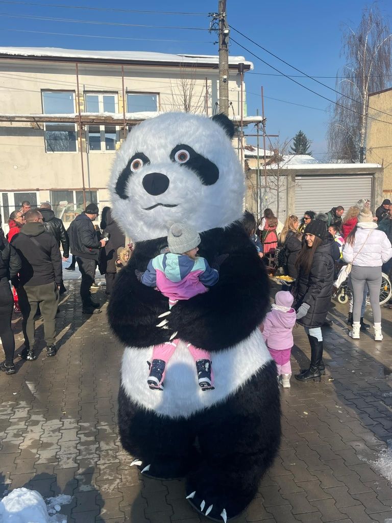 Полярното мече Чочи и пандата Мо